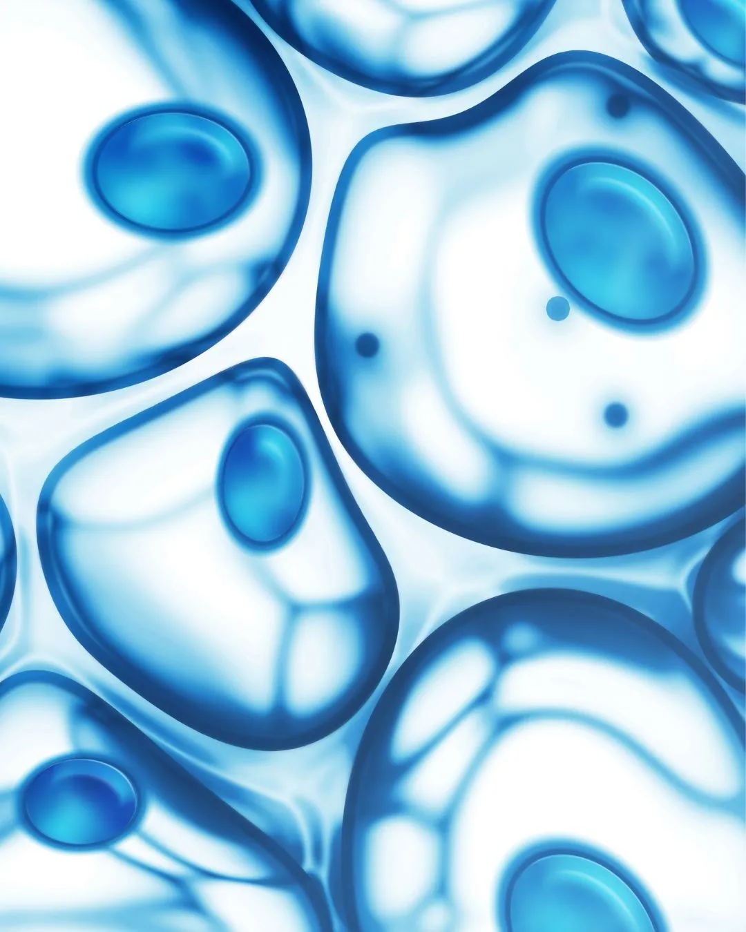 IHHT, Höhentraining, Regeneration, element 4, alpha cooling, ASEA, Hypoxietraining